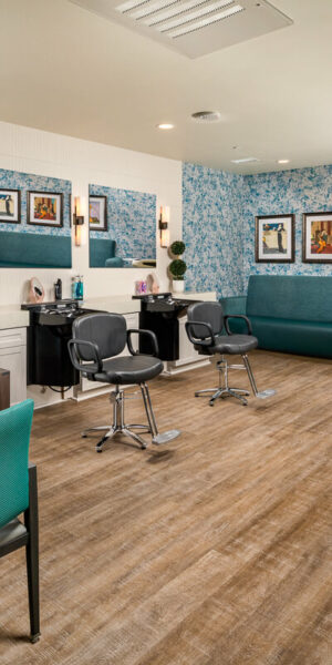 PP_SDS_Beauty_Salon_Mirrors